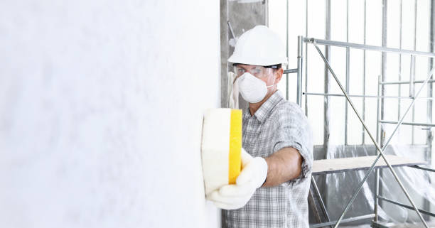 Best Asbestos and Lead Testing During Mold Inspection in Durand, IL